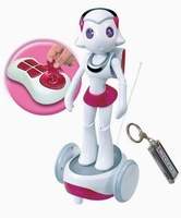 Sakura Robot