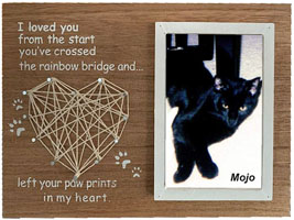 Mojo at the Rainbow Bridge