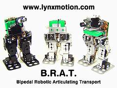 BRAT Robots
