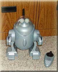 Robo Cub Robots