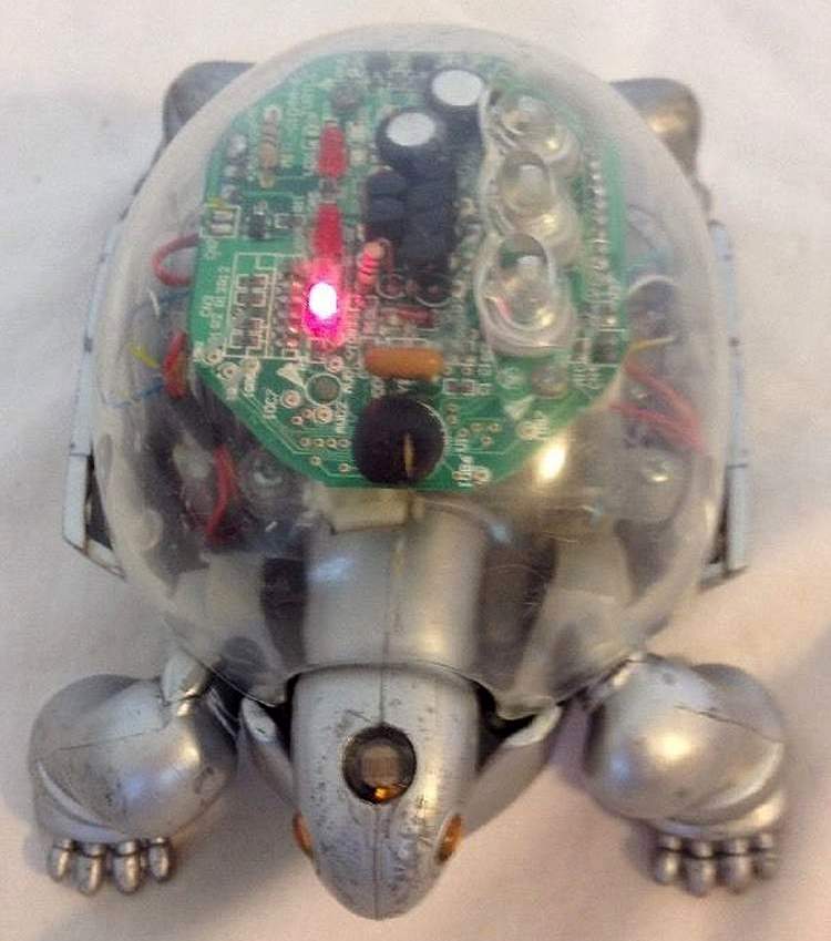 Tekno Turtle Robot