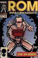 Space Knight Robot